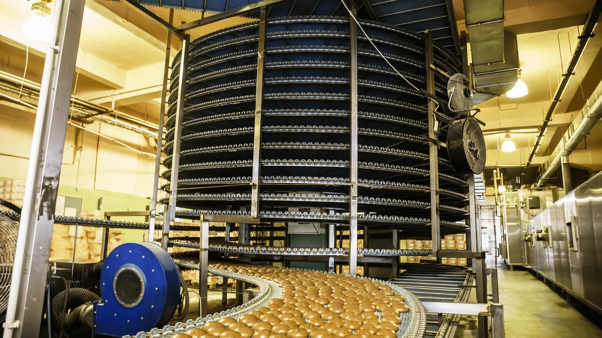 impianti-industriali-alimentari